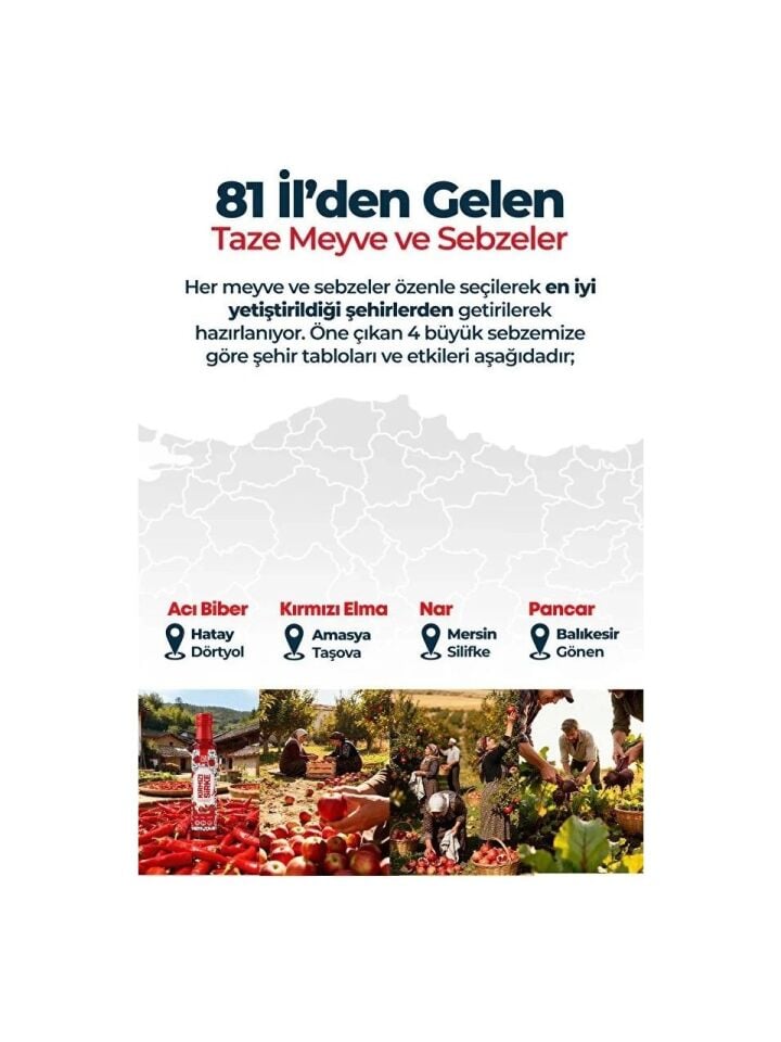 81 İlden Doğal Kırmızı Sirke (Fermente & İçilebilir) 250ML. Cam Şişede